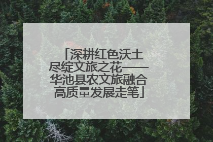 深耕红色沃土 尽绽文旅之花——华池县农文旅融合高质量发展走笔
